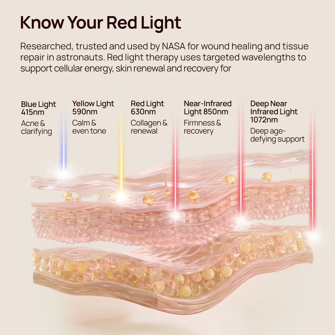 “Know Your Red Light” graphic showing blue, yellow, red, near-infrared and deep near-infrared wavelengths for skin support.